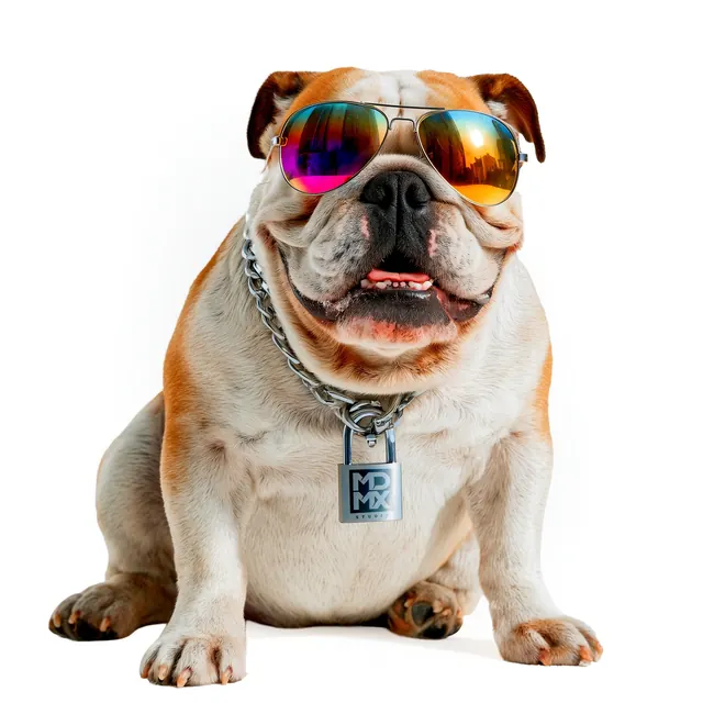 Maskottchen von Zmaart Edge: Bulldogge mit MDMX-Schloss